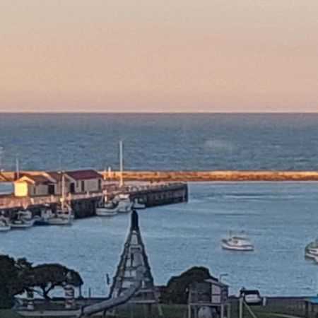 Oamaru Pink Cottage Extérieur photo